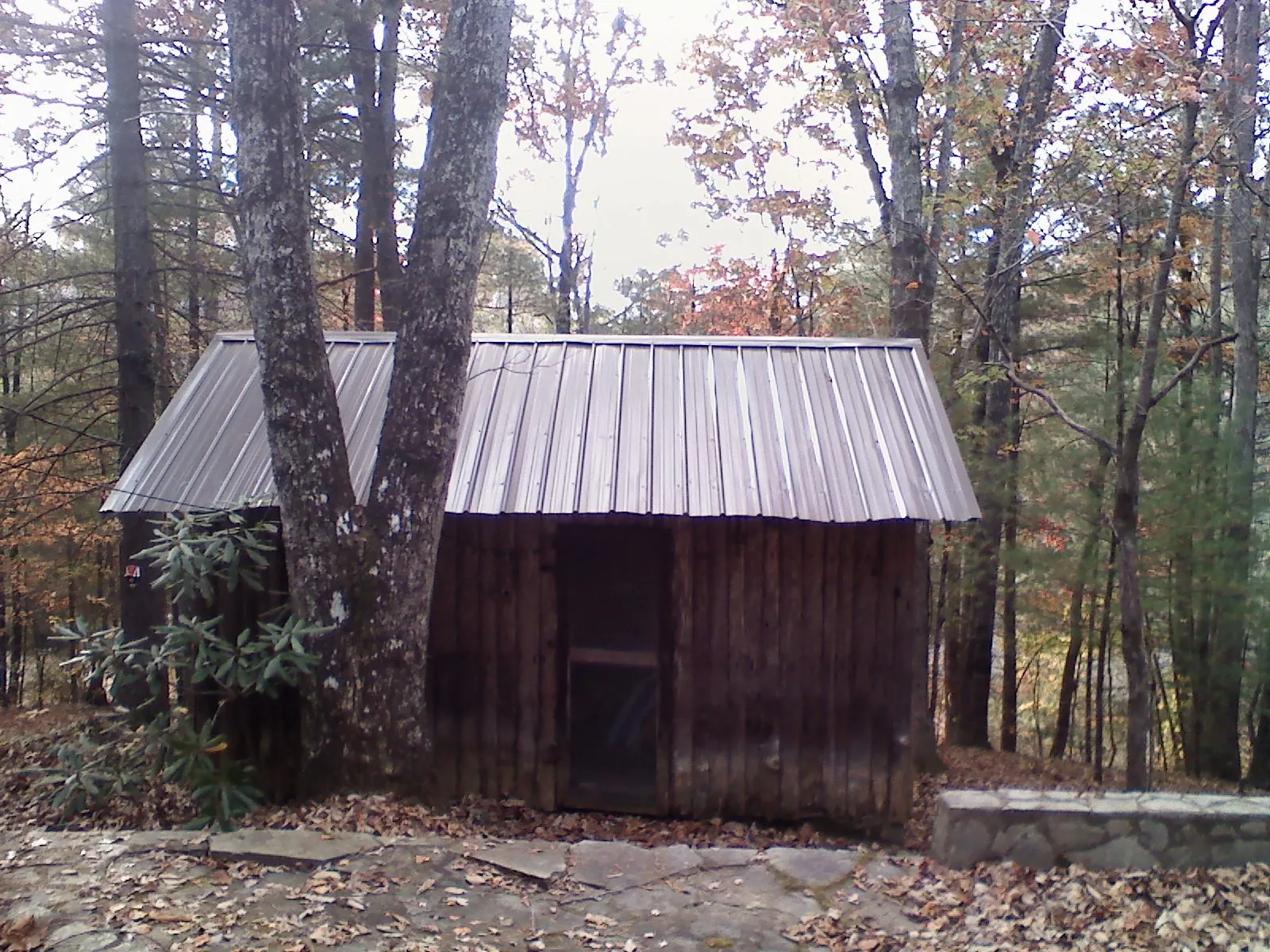 New metal gable roof on a small log shed among the trees in Albia